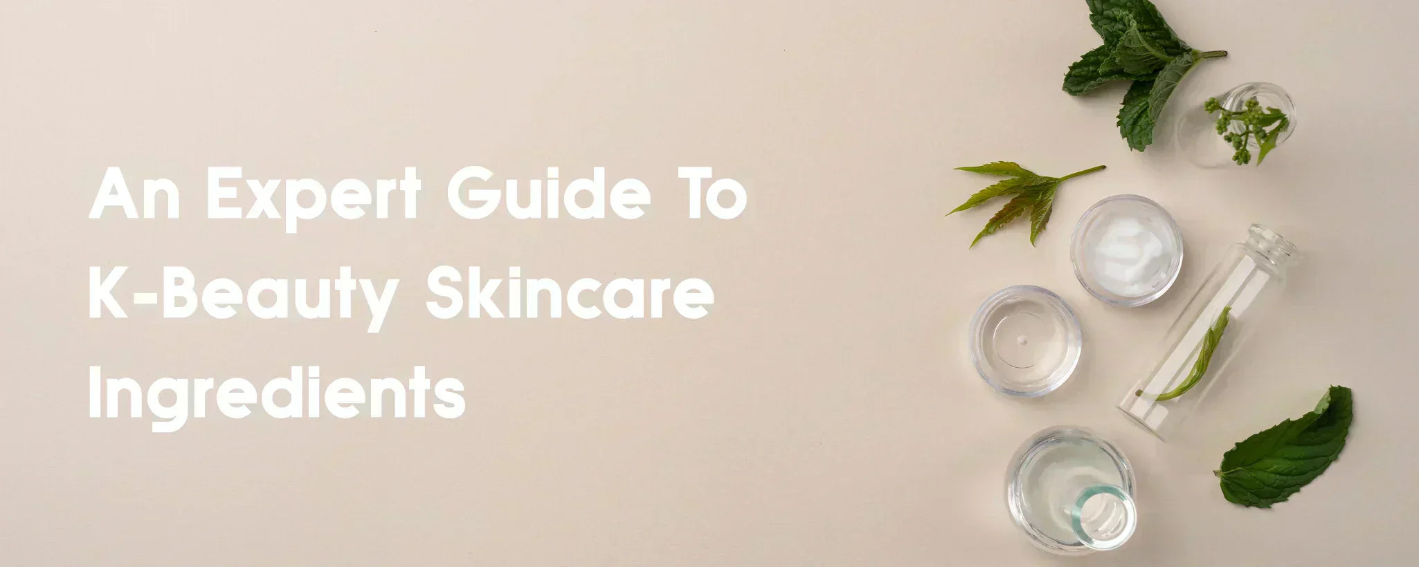 Korean Skincare Ingredients
